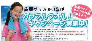 colortowel1.jpg